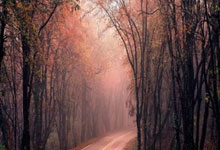 丽江旅游防骗指南