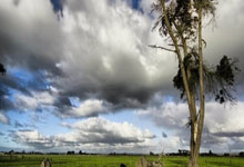 赛里木湖终极攻略