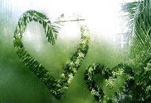 赛里木湖终极攻略