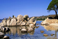 At least 11 killed in shooting which targeted Australia’s Jewish community at Bondi Beach