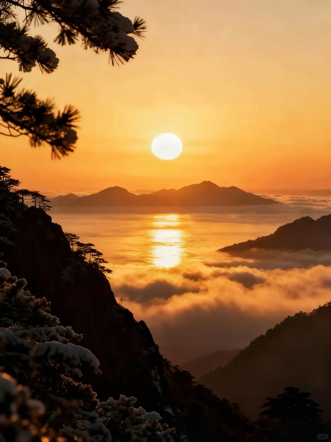 黄山雾凇季超全攻略｜一站式观赏保姆级攻略