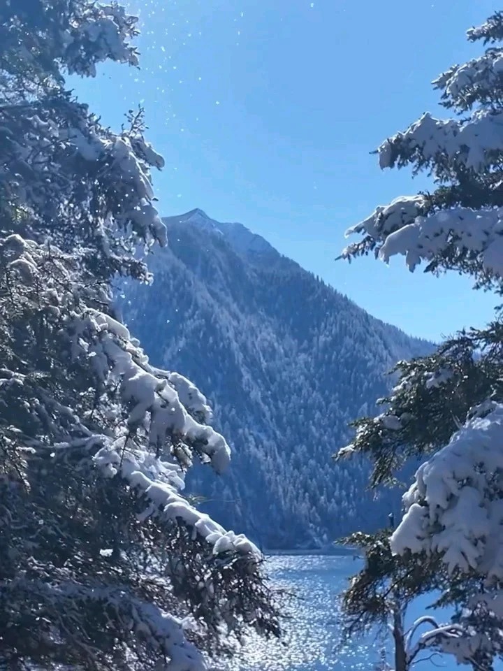 救命!九寨沟的雪景❄️美到我想原地劈叉!